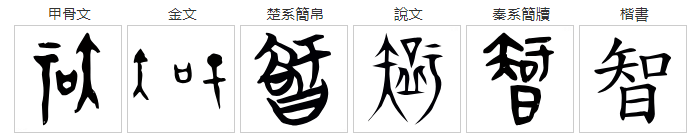 字義_基本_管子