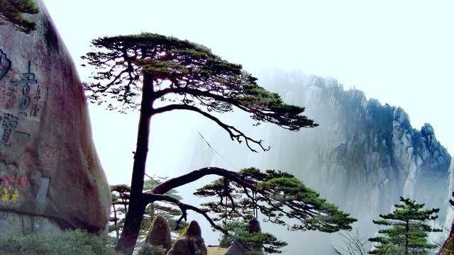 黄山以其奇特的山峰,云海和温泉而闻名,被誉为"天下第一奇山".