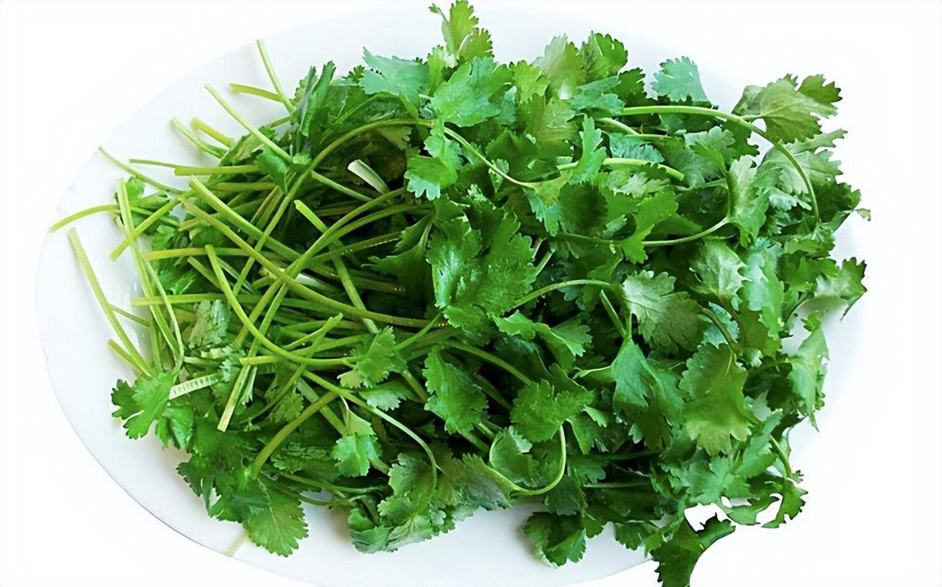 中国&quot;最难吃&quot;的5种蔬菜，吃过一半是牛人，有没有你最讨厌的？(图3)