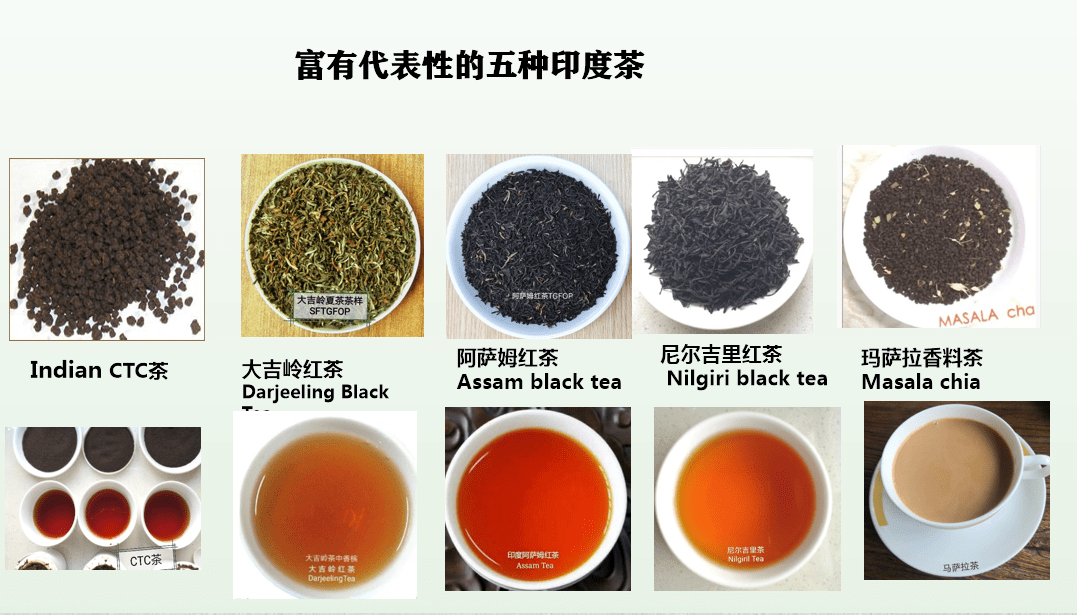 茶与艺术同行丨当印度红茶邂逅古典瑜伽,12月17日精彩来袭!