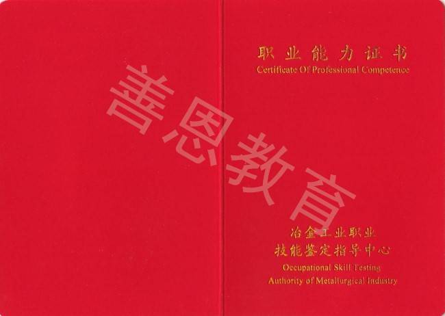 輸入證書編號,身份證號碼信息進行查詢,查詢後顯示計算機程序設計員