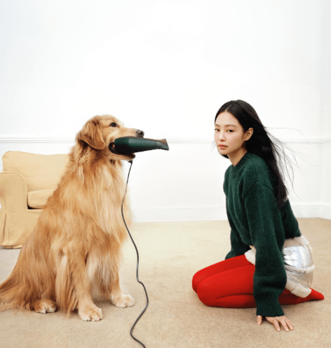 红裙娇艳欲滴 ,jennie与不同的宠物狗合照,造型独特!