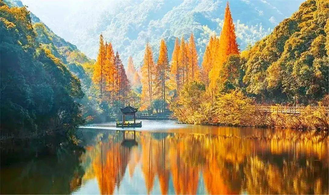 坐落于国家aaaa级旅游区——南溪温泉森林公园内,以其优美的景色和一