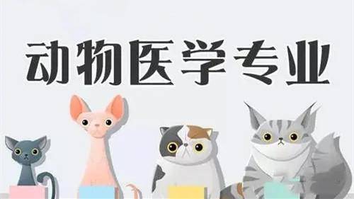 西北農林科技大學成人高考動物醫學專業怎麼報考呢_全國_計劃_學歷