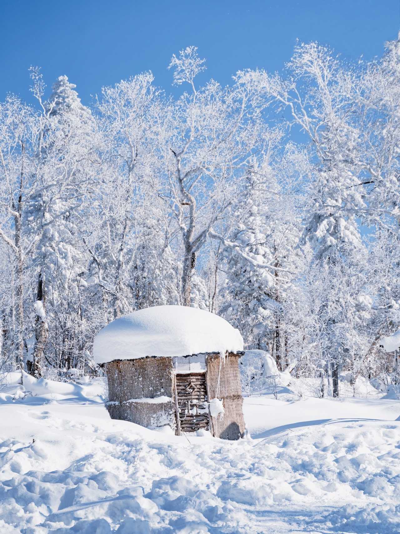 北国冬季旅行:探寻哈尔滨,亚布力,雪村浪漫雪景_中央大街_雪乡_day