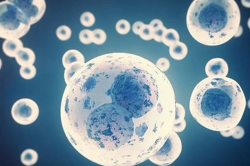 备孕期间,若女人出现这4种"信号"时,或许已经怀孕了_身体_感觉_乳房