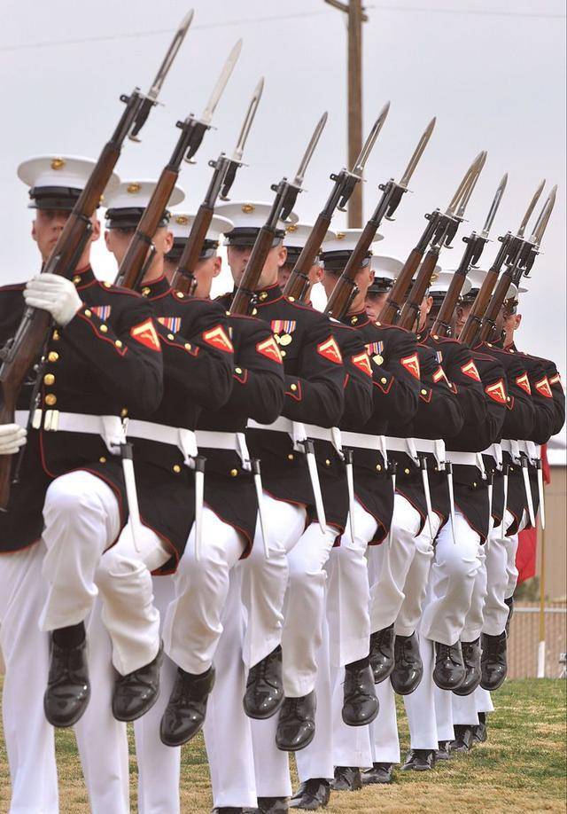 诞生了两款狙击步枪(m1c/m1d),可加装2