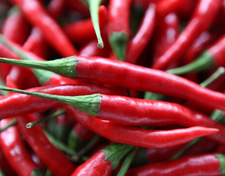 辣椒被誉为天下第一辣,每年出口到外国高达50吨,吃过吗