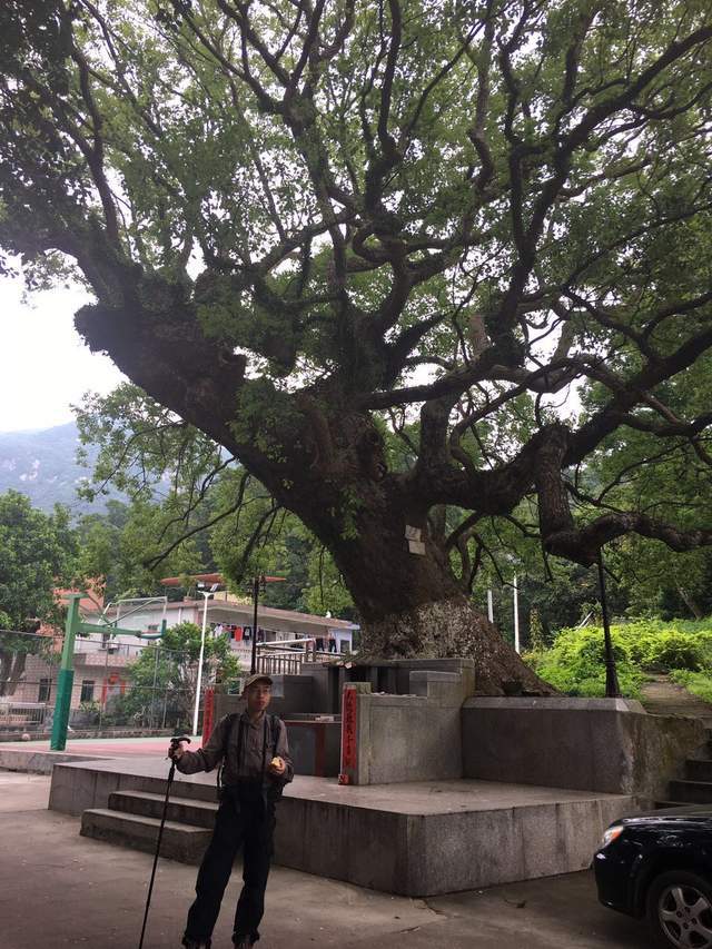 第6102回:山海連城郊野通徑,推窗見綠出門見園_隊友_曹小貞_體能