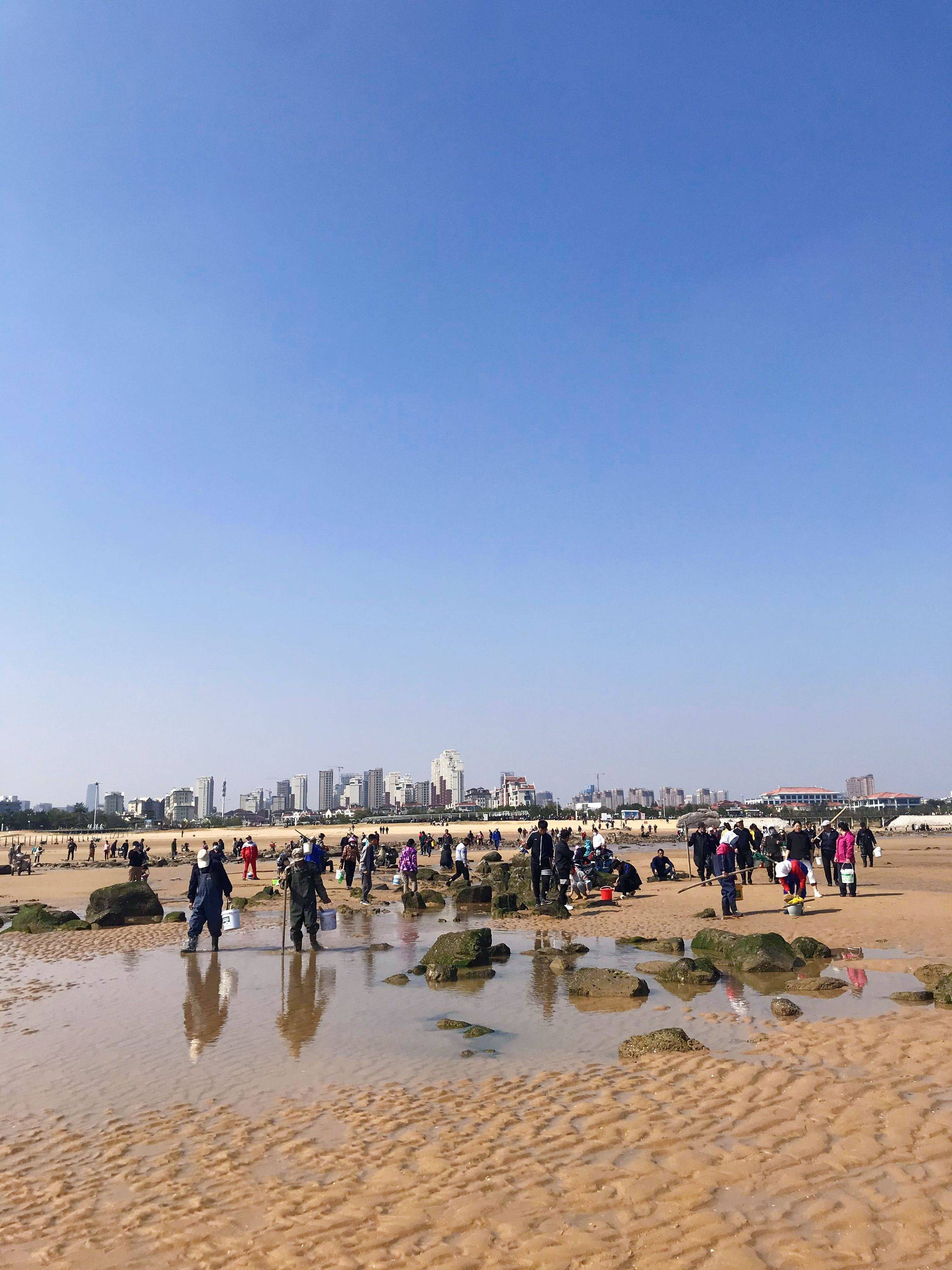 元旦去日照赶海,本地人不想说的技巧