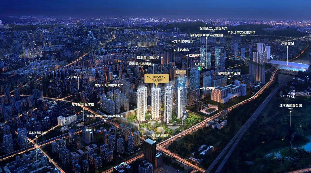 龙华红山 安宏基·天曜府_户型图_生活_阳台