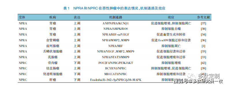 利鈉肽受體家族在惡性腫瘤發生,發展中的作用及臨床