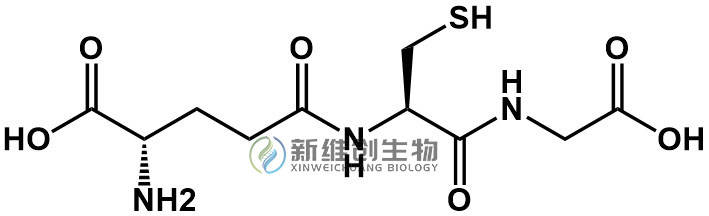 細胞膜是細胞的外部結構,它保護細胞內部的結構和功能不受外界環境的