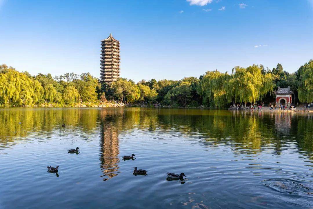 北京大学2024年学科竞赛保送生招生简章_工作_教育部办公厅_监督