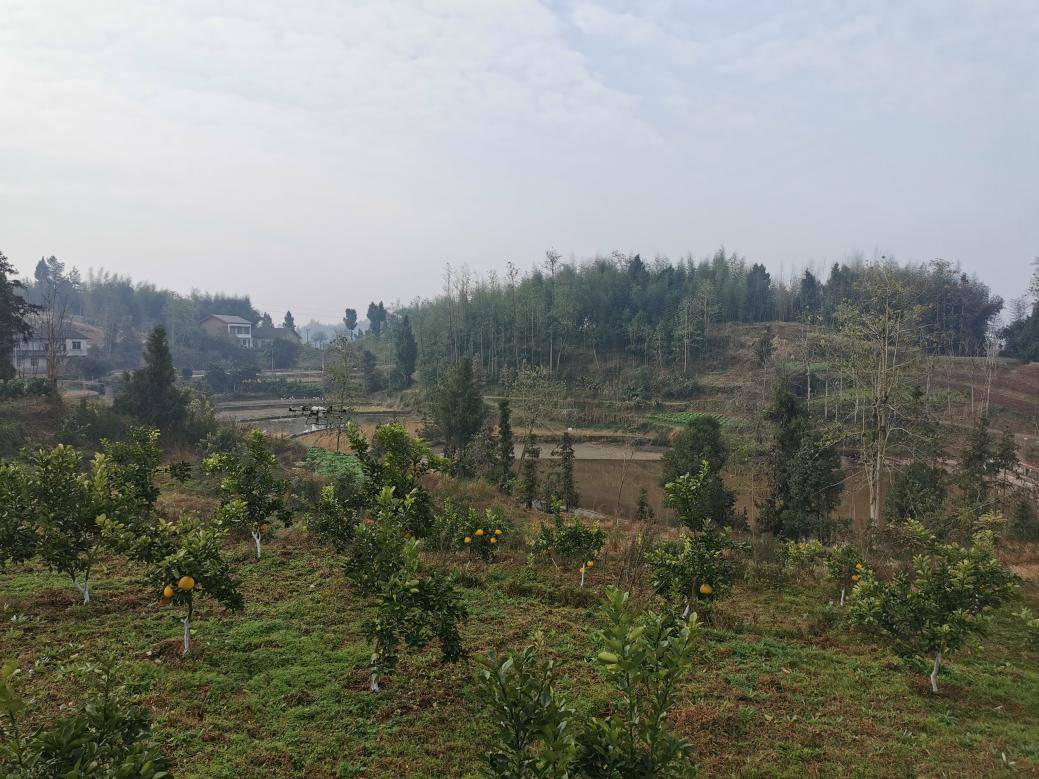 学习土地不流转规模化经营创新模式 高翔院长赴梁平区碧山镇龙桥村