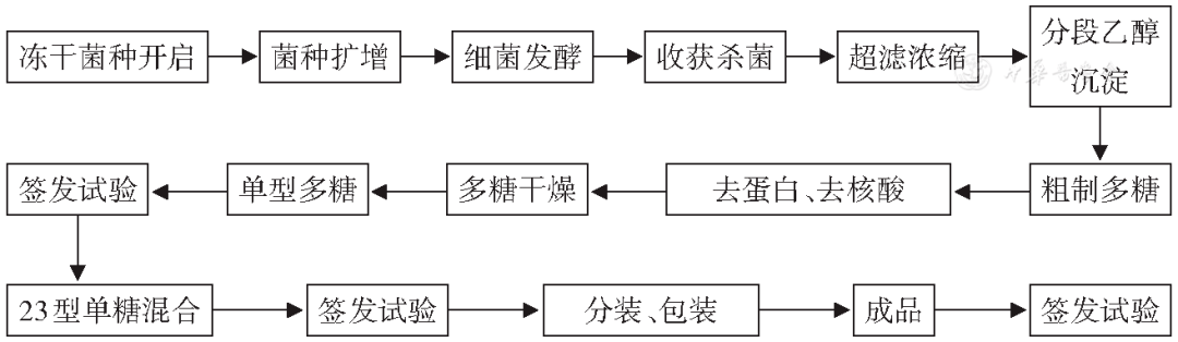 分離出的23個最常見的致病性肺炎鏈球菌菌株,經過培養提取莢膜多糖