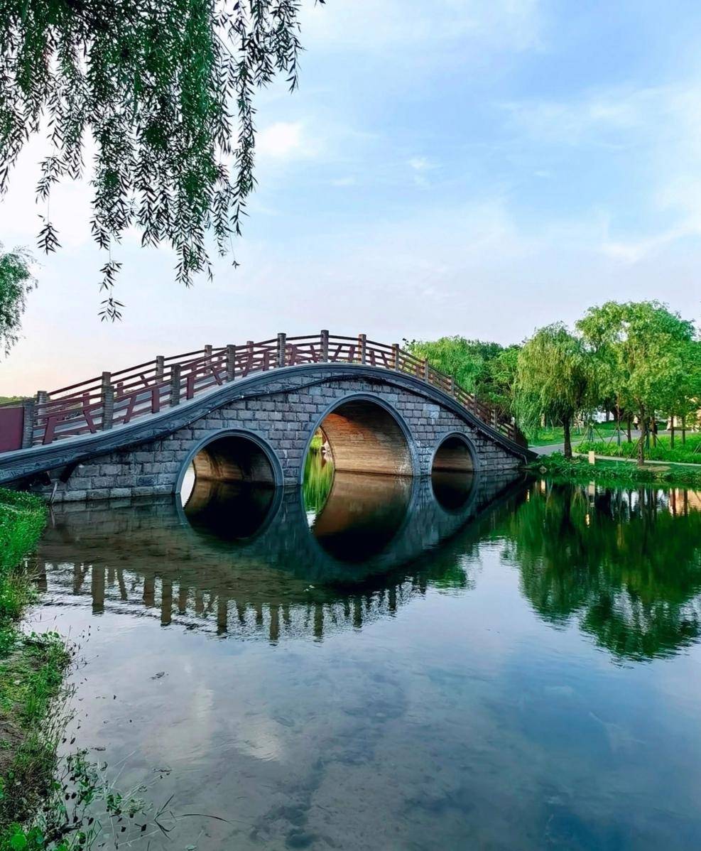 上海金海湿地公园图片