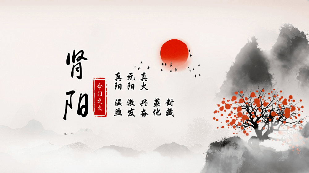 阳强易举 来自搜狐网