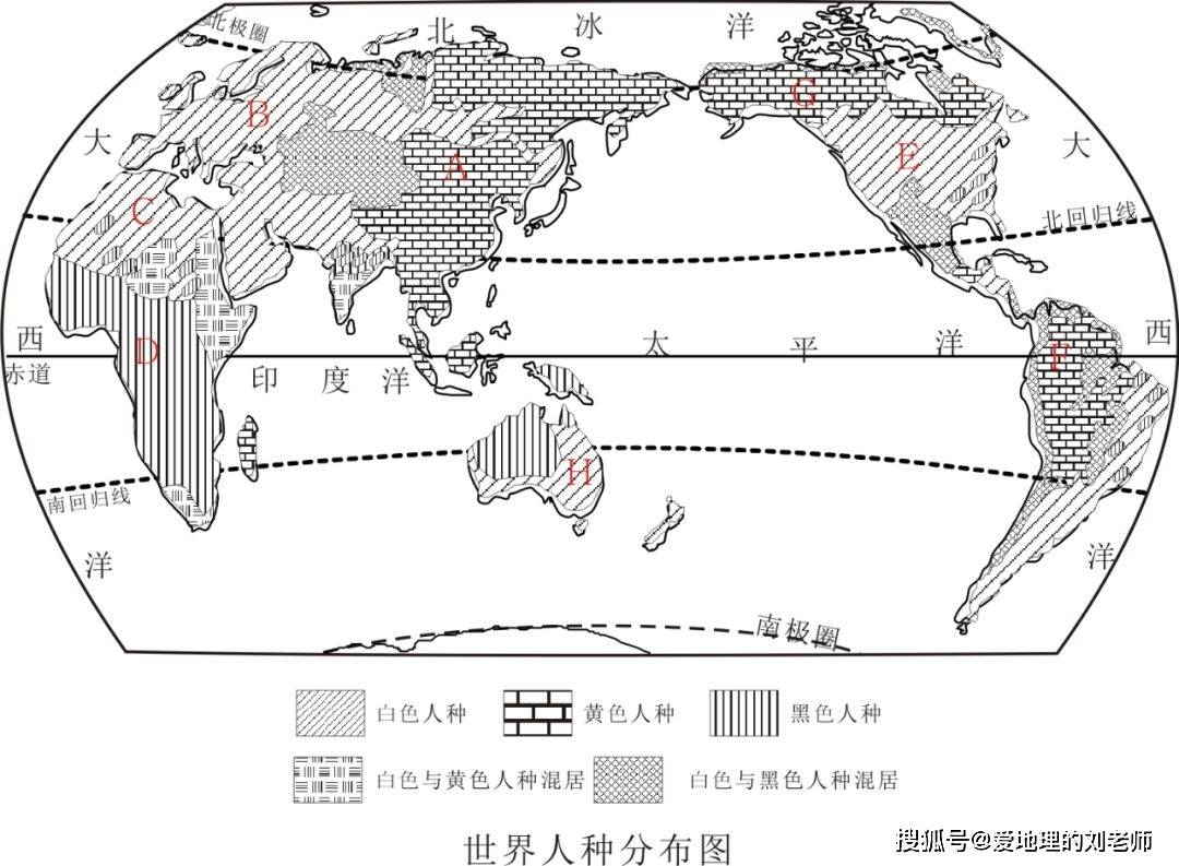 世界人种分布示意图图片