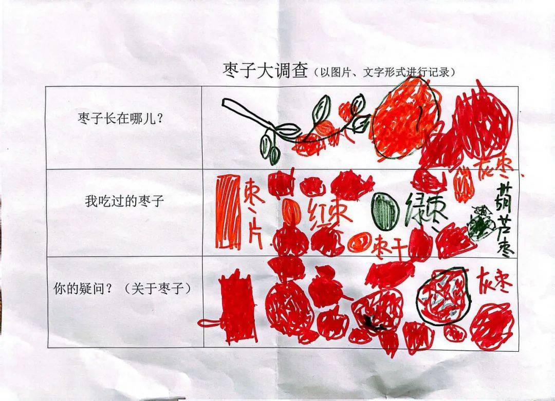 关于枣的手抄报三年级图片