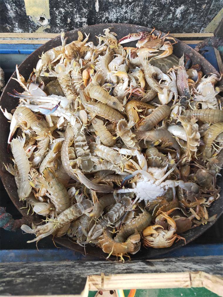 河北沧州黄骅港涛哥出海一日游,涛哥出海一日游游轮,公司团建家庭聚餐
