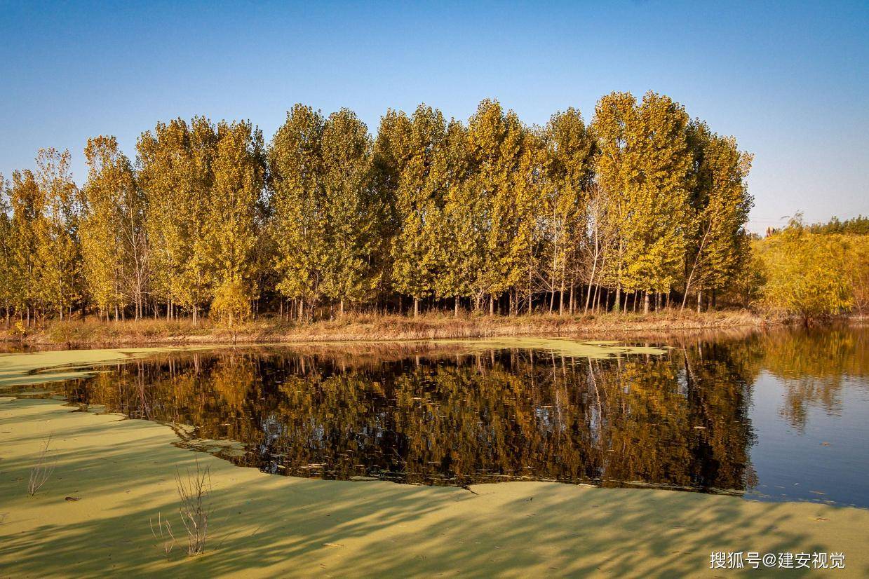 马投涧镇的独特秋韵,河南安阳美丽山村