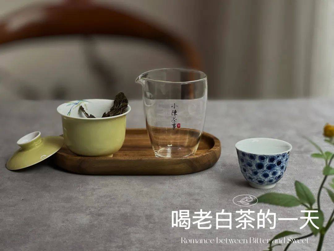 茶葉_成功_嘉賓