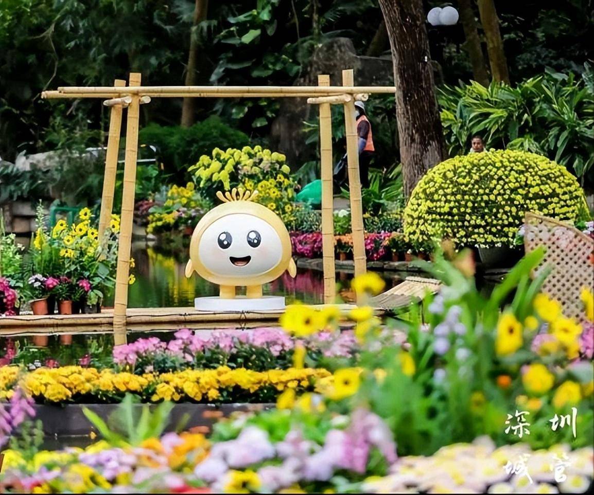 西大门,钓鱼区4个展区主要布展区域在东湖公园阳光草坪今年的深圳菊花