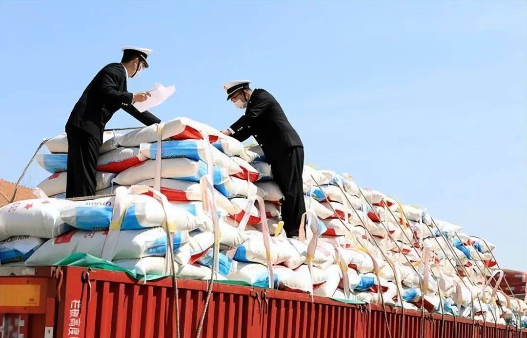 原创跨国运粮背后机票不如粮食贵一趟能赚千余元