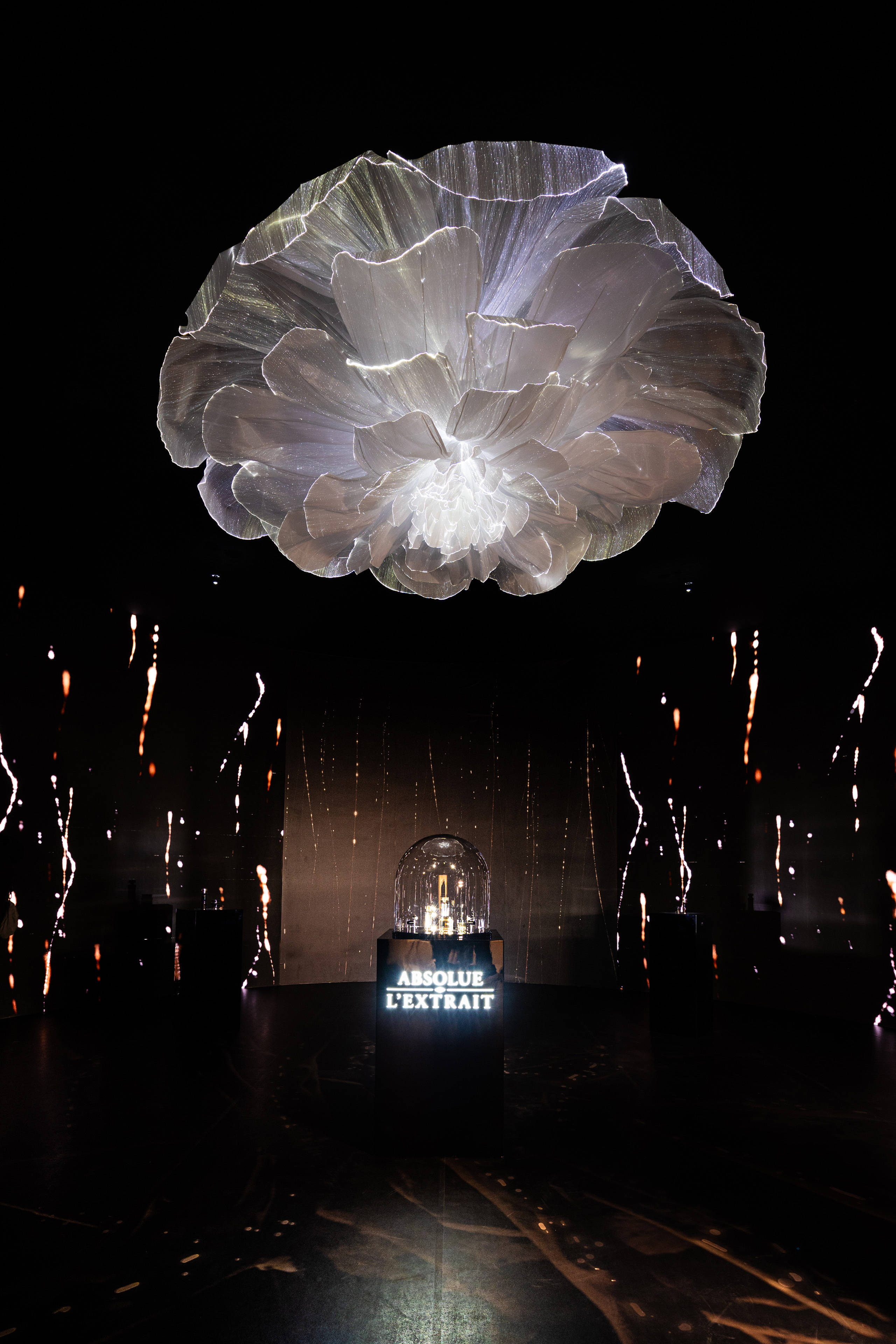 《凝聚跨越时间的美·法国兰蔻菁纯艺术展》盛大启幕_玫瑰_先锋_永恒