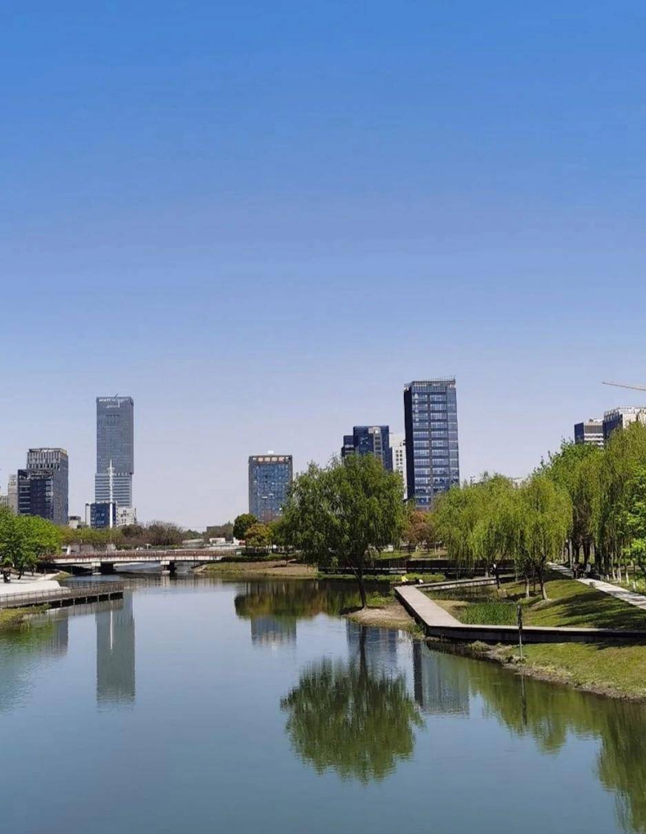 上海嘉定紫气东来公园吸引各地游客沉醉_城市_草坪_文化