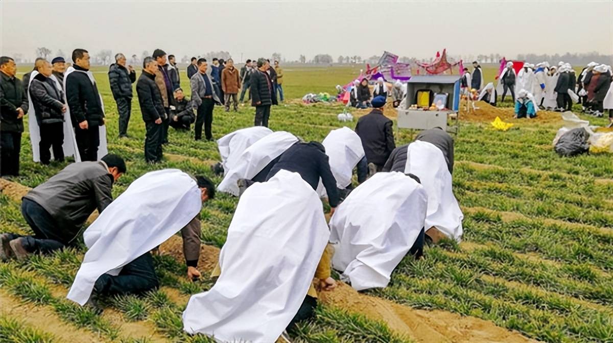 农村下葬3个忌讳:动土有蛇,棺木抬不动,还有一个你知道吗?