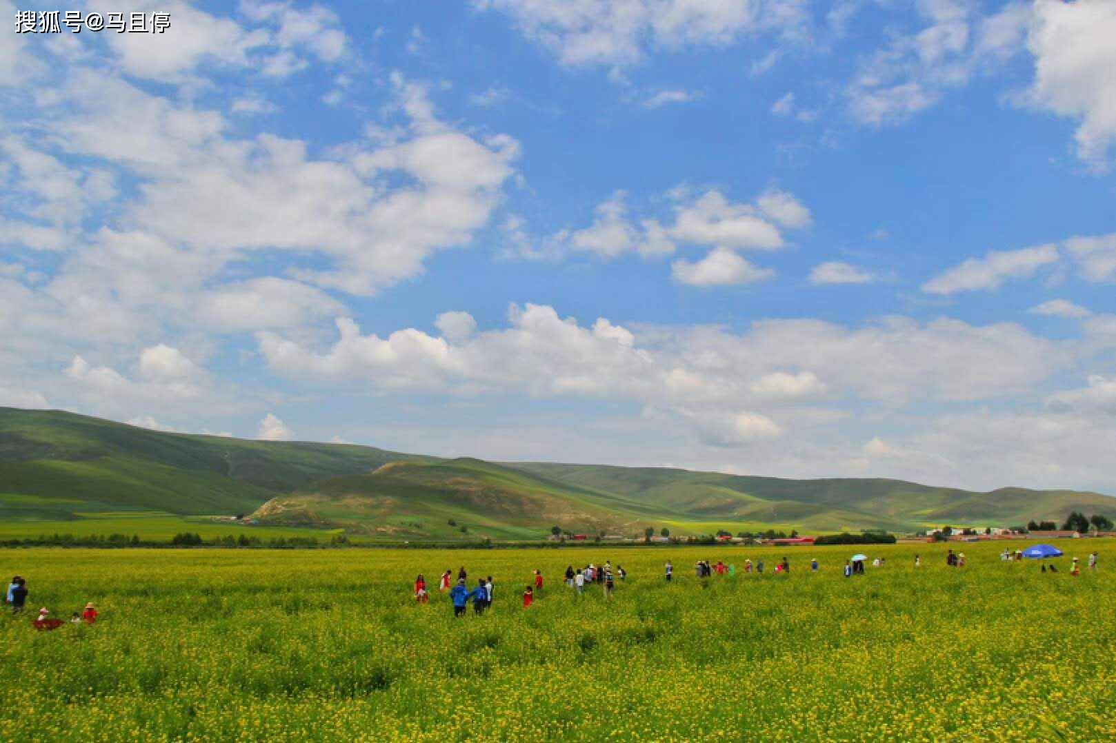 在西宁市多巴新城,新华联地产和海洋馆等基础设施的飞速建设在主城区