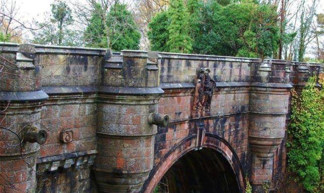 英国鬼桥:600多只狗失控跳桥身亡,科学家终找出"真凶",令人不寒而栗