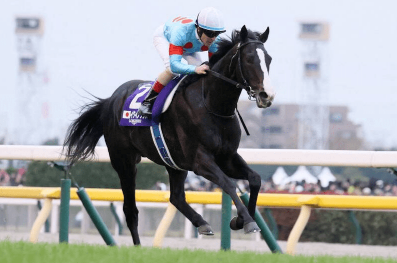 一发2000万,世界马王"春秋分"配种费创最高纪录!_日元_种马_竞赛