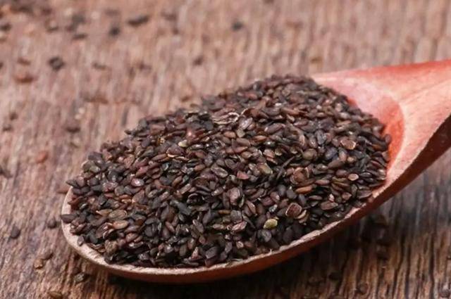 但它们并不是同一种东西,车前草是一种草本植物,而车前子则是其种子