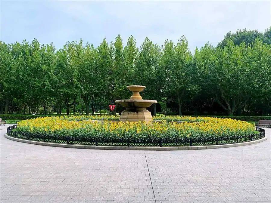 復興公園位於上海市中心區域,東鄰重慶南路,南臨復興中路,西近思南路