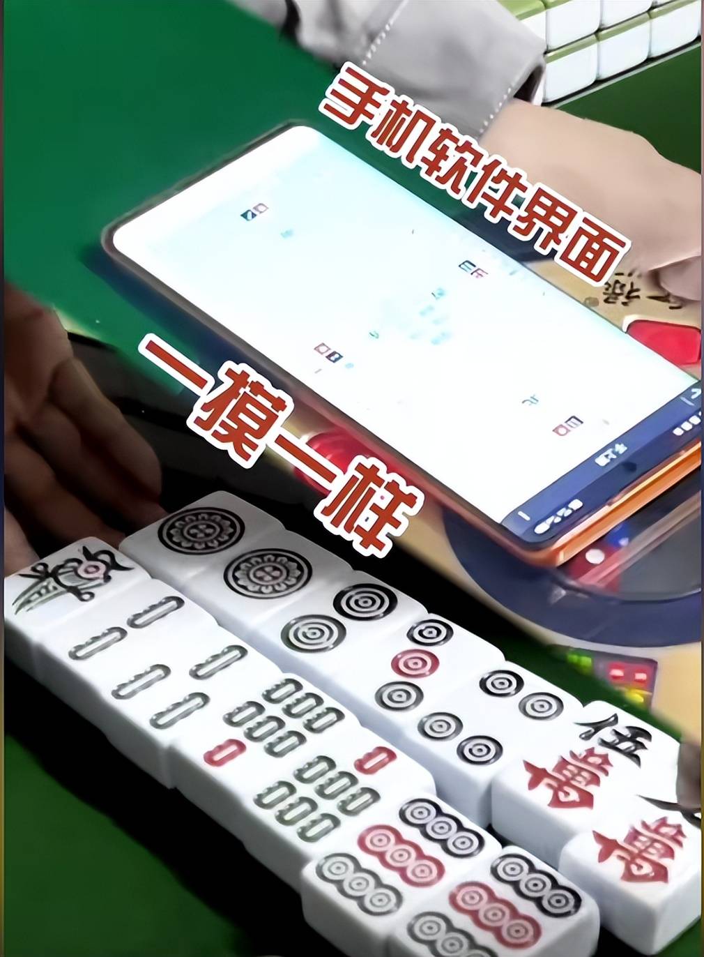 1010_1372竖版 竖屏gif 动态图 动图