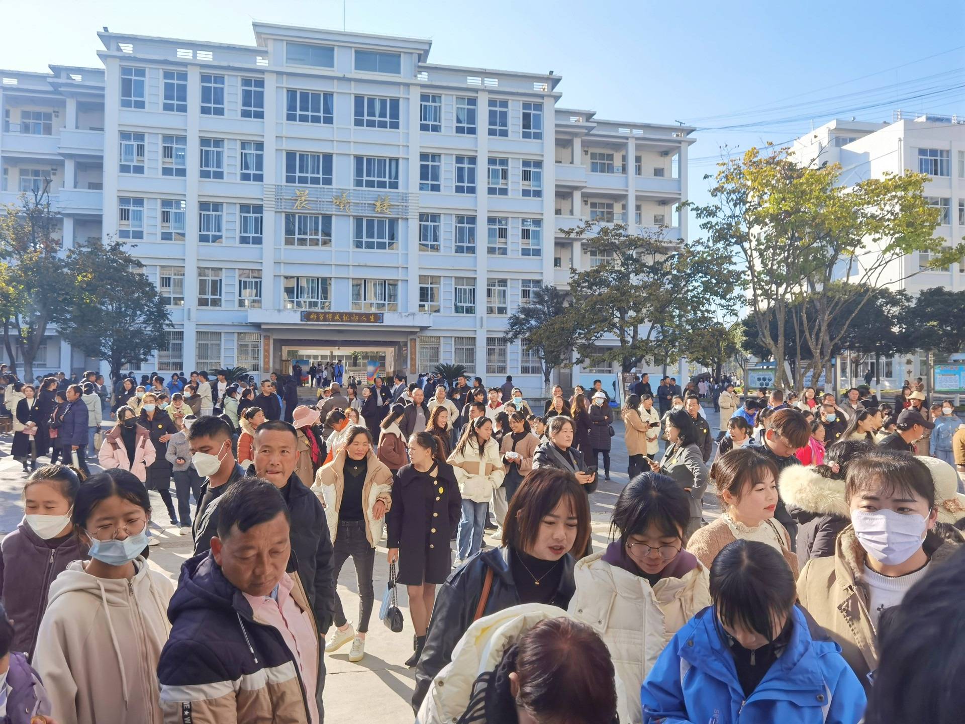 保山市实验中学校花图片