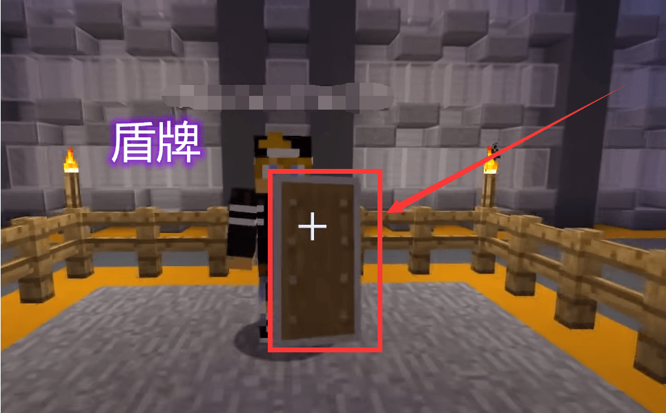 我的世界:强势的盾牌,在游戏中也有挡不住的东西?