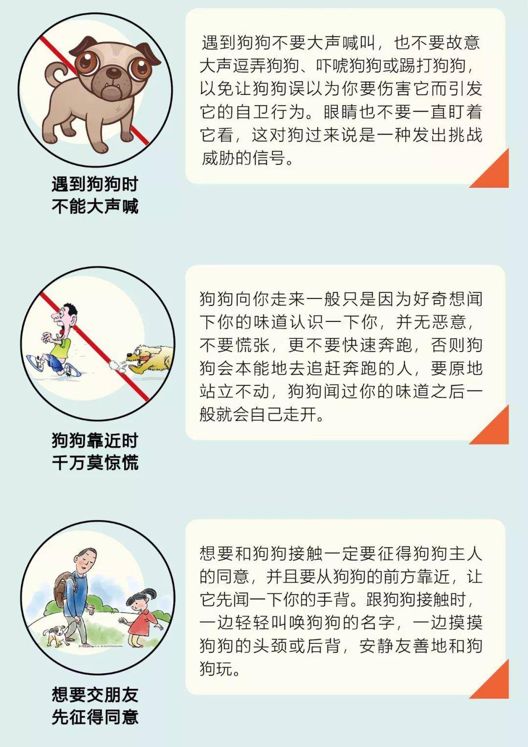 【创城】文明养犬,爱它就要管好它,这些点你知道吗?