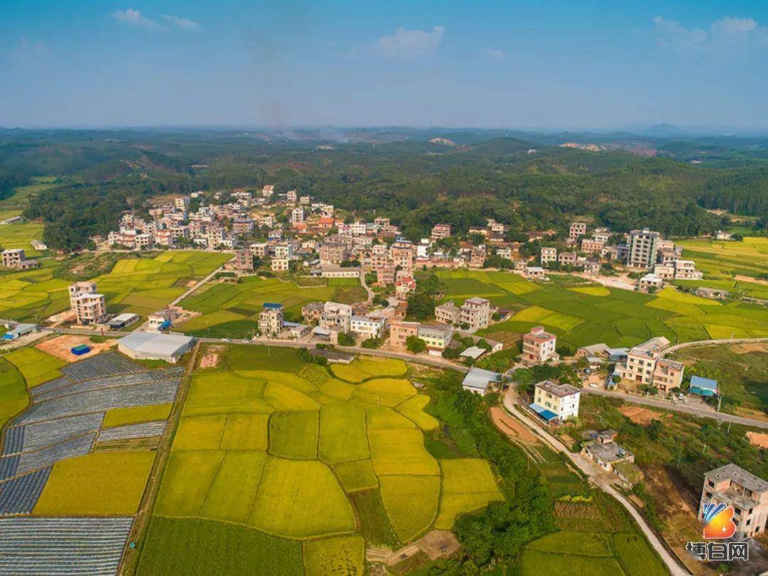 博白县革命老区庆祝建国70周年老区新貌摄影大赛作品展