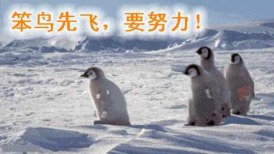 你这么老一定去过那种溜冰场吧