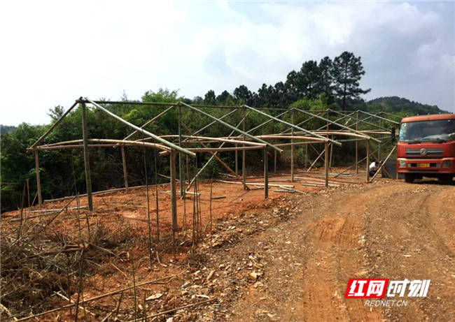 搭建鸡棚,让清远麻鸡在衡阳县"安家落户.