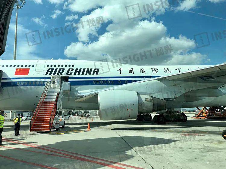 留学生回国飞机因撞鸟返航居然有人说感谢鸟防病毒