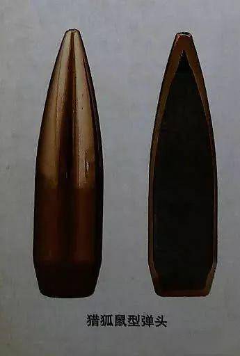 子弹的秘密:了解弹头的种类,​鉴别弹头的形状_手机搜狐网