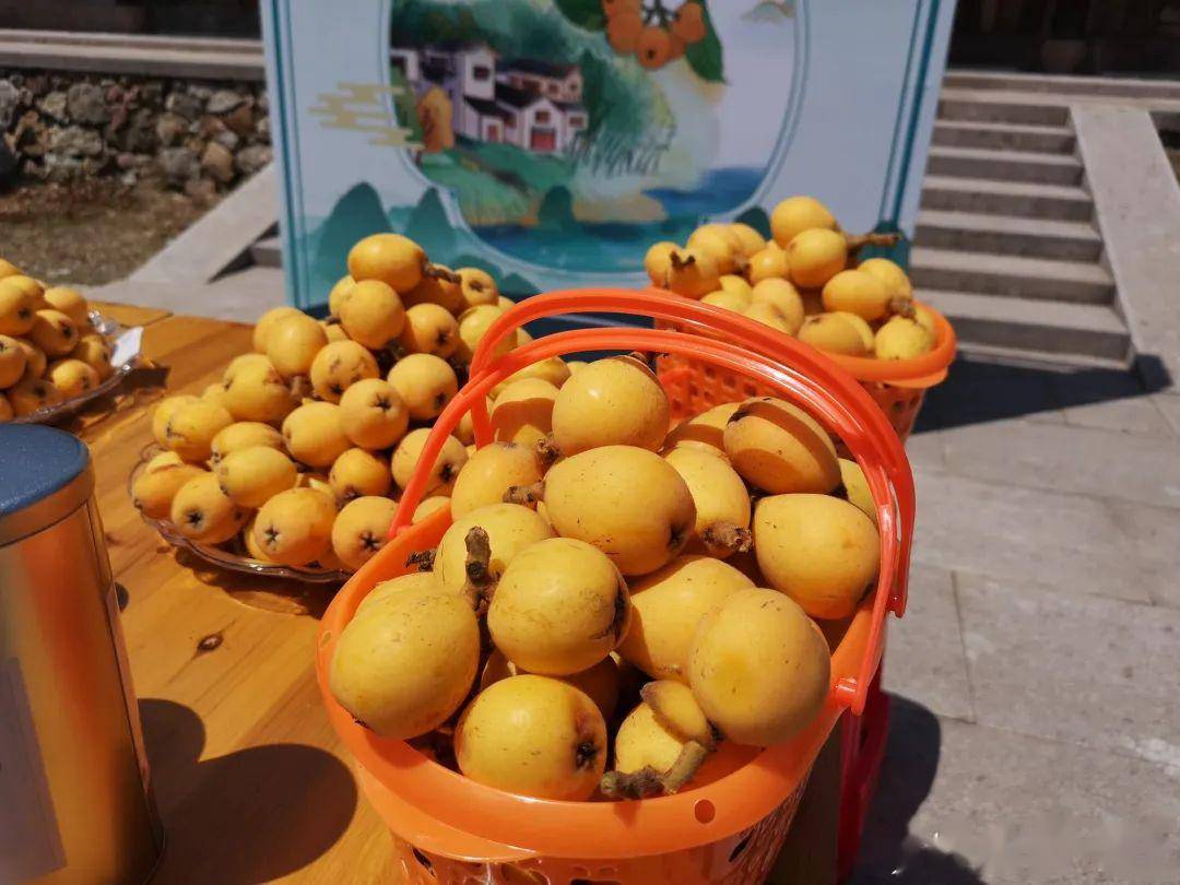 宁波人爱吃的这种水果,难看的更好吃!曾1颗16元,今年可以敞开吃!