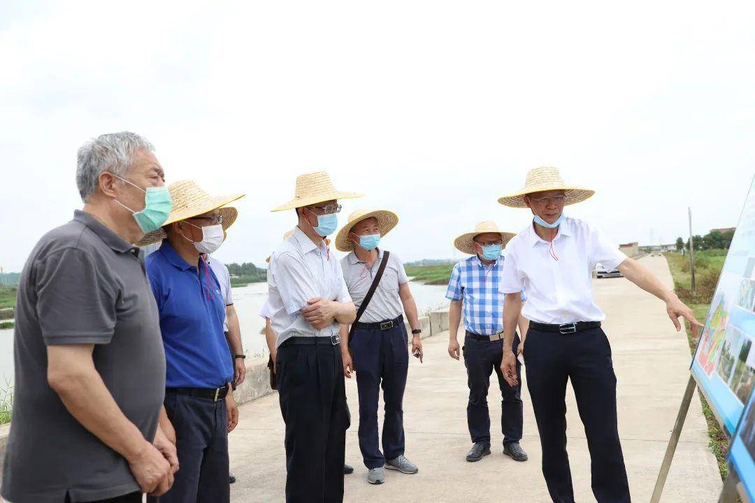 市地震局调研谢岗镇减隔震技术实施等防震减灾工作