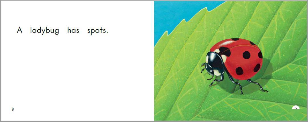 海尼曼gk听说读看36spots