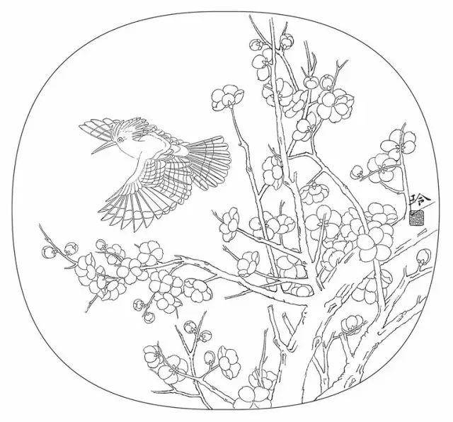 郑玲玲工笔圆扇花鸟的步骤画法太全了赶紧收藏吧